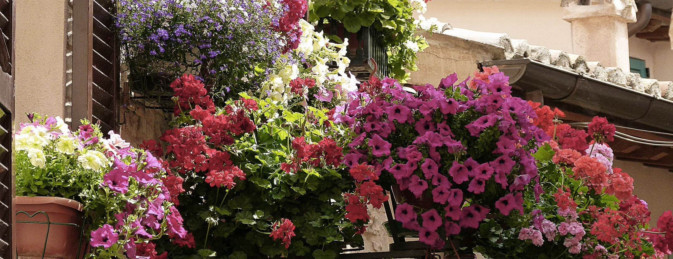 Le Tour - Un smorgasbord