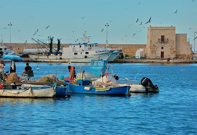 Trani Live, una città da assaggiare