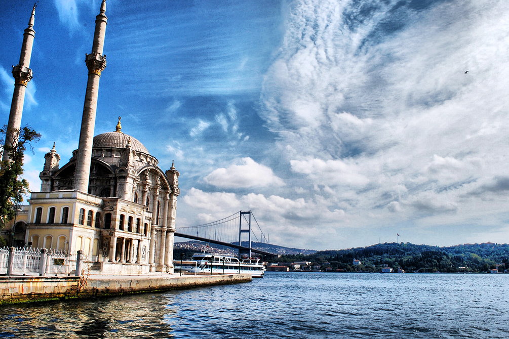 Dove l'Oriente incontra l'Occidente con i delfini nel Bosforo