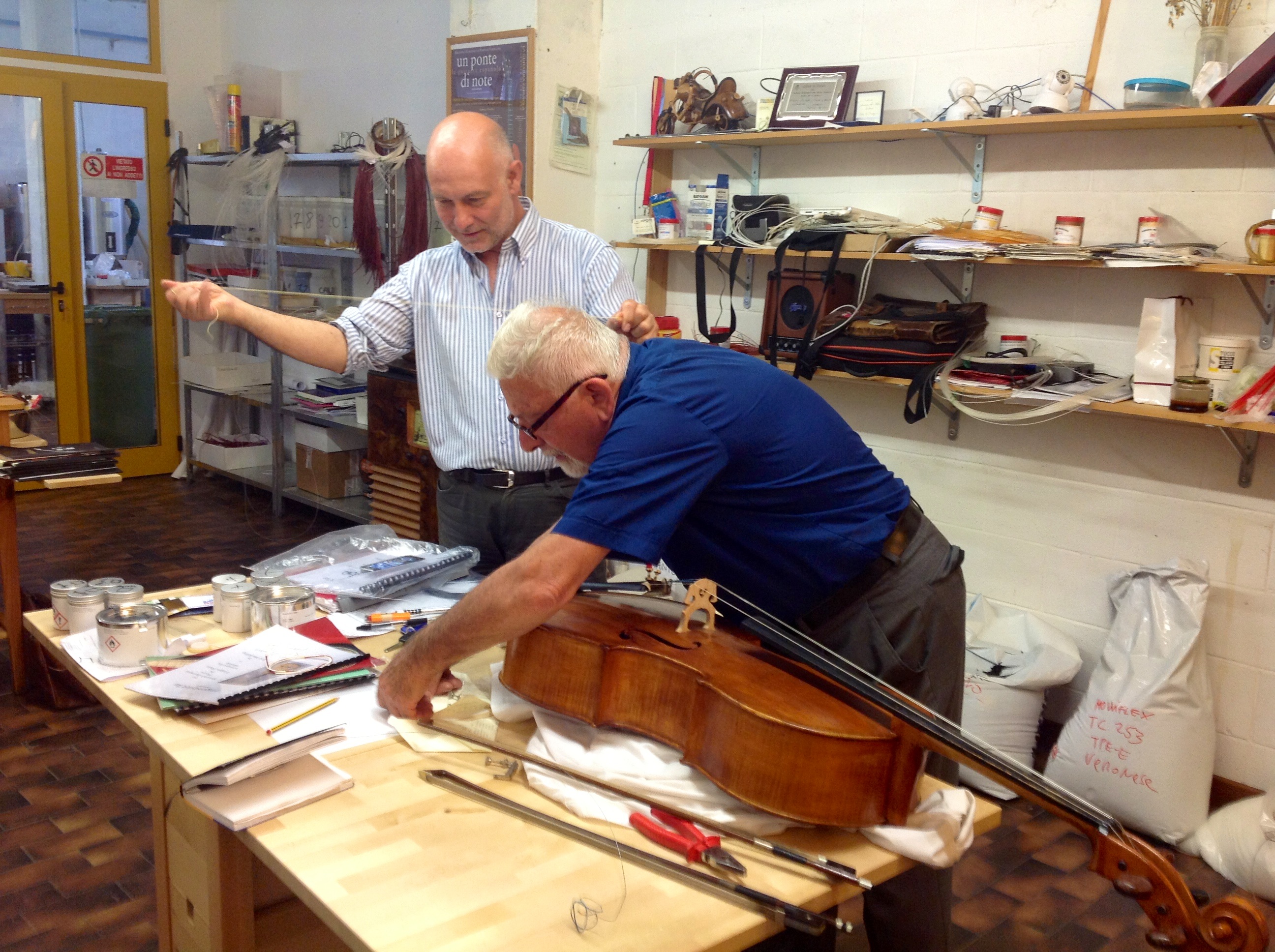 Corde di budello, il potere della Musica