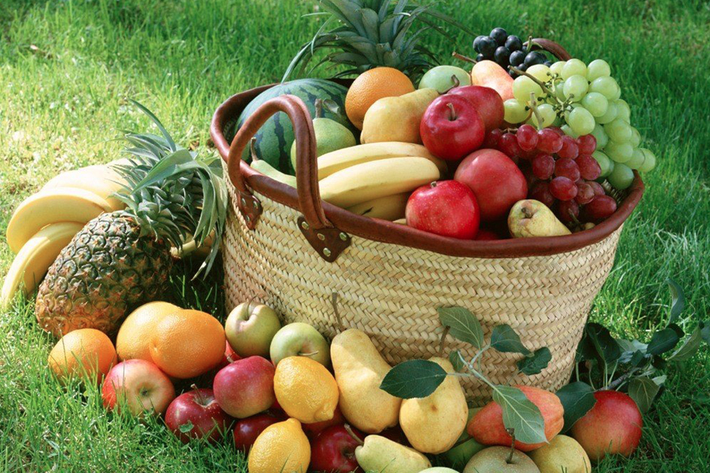 L’inutile necessaria Eleganza