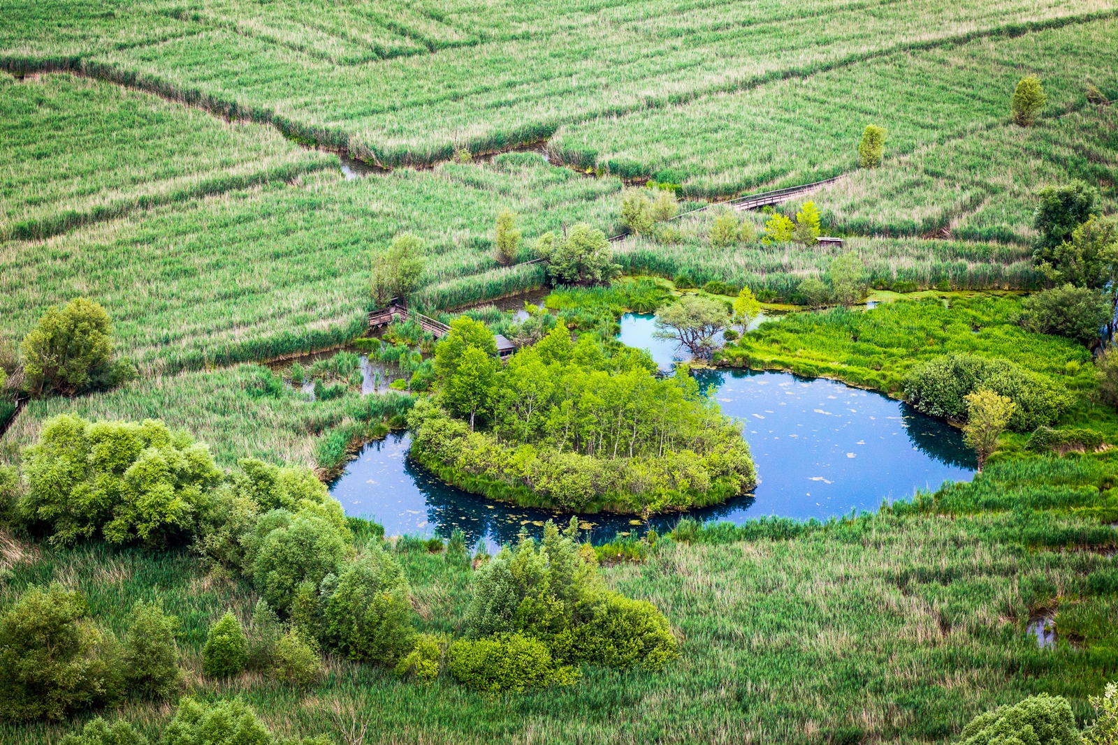 Broccostella. Monumento naturale Fiume Fibreno e Rio Carpello