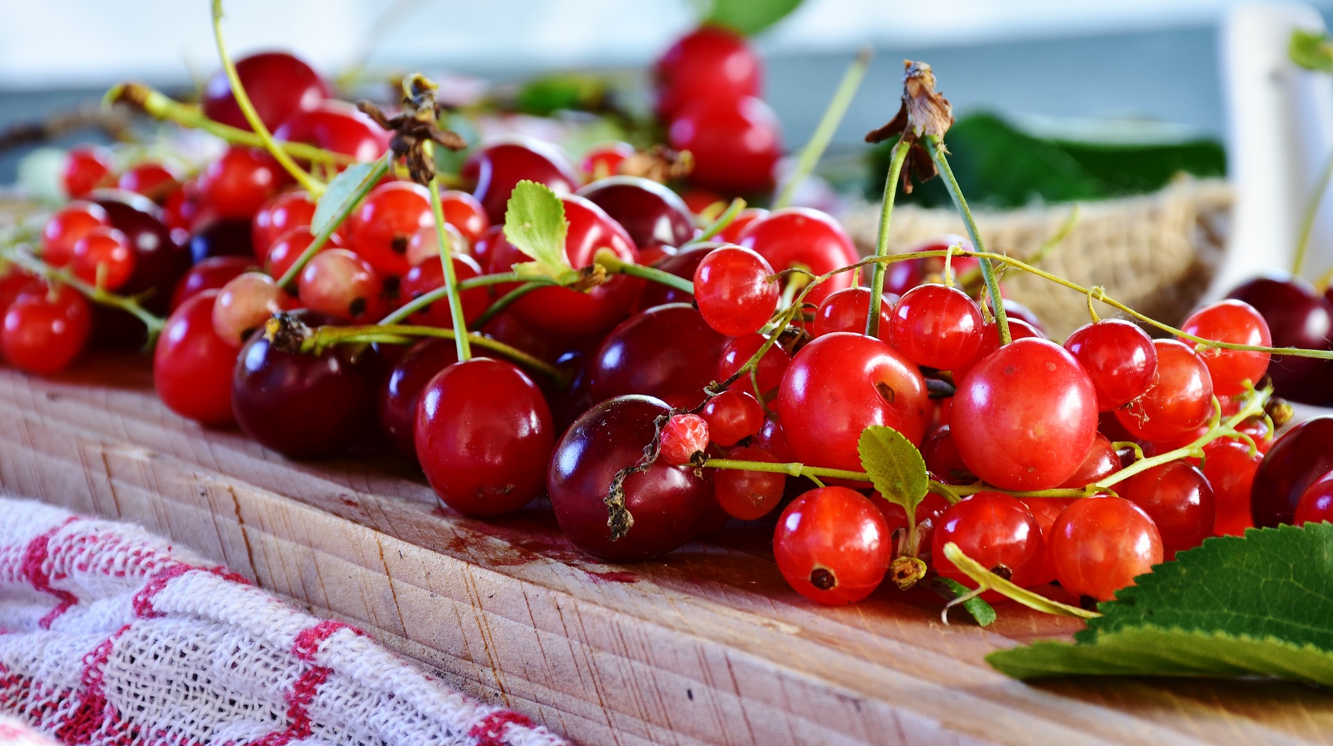 Montorio Romano. Ravenna Cherry Variety