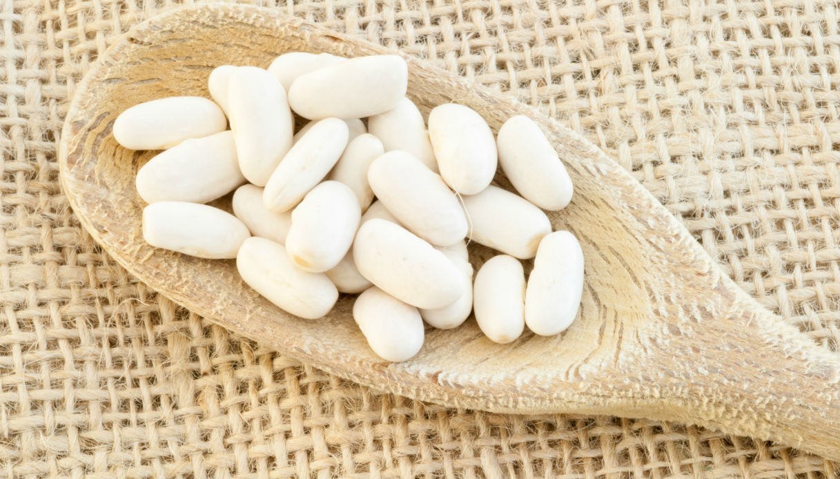 Arsoli. Arsoli Bean