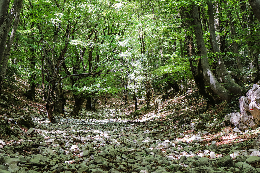 Orvinio. Il Parco dei Monti Lucretili
