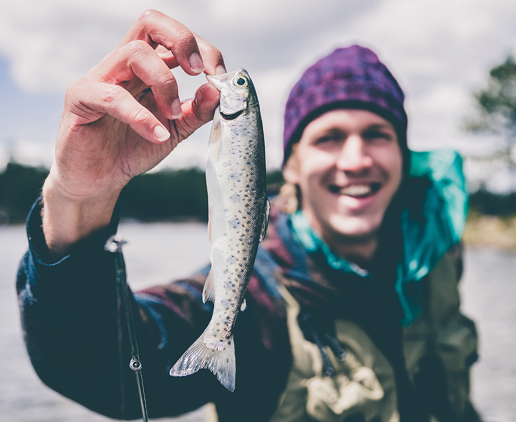 Anguillara Sabazia. Luccio Fritto Dorato