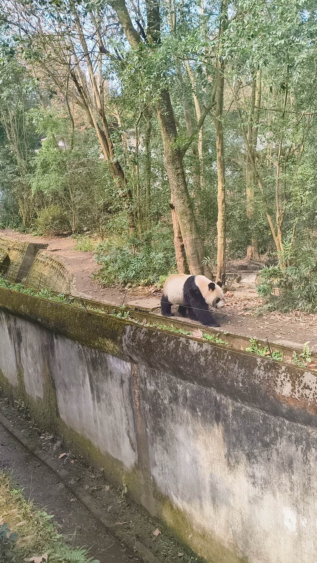 Scopriamo l'Asia con Alessia
