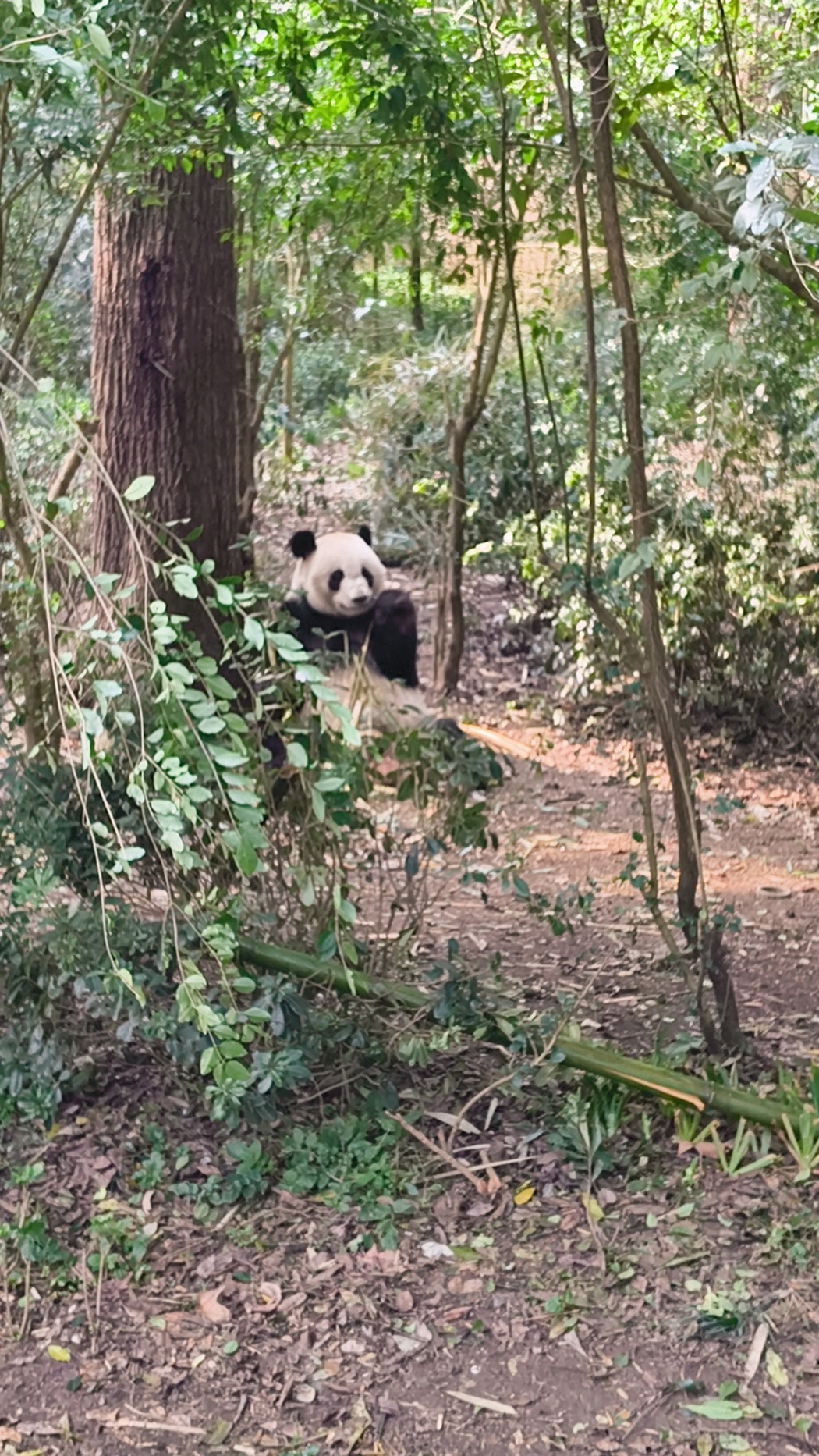Scopriamo l'Asia con Alessia