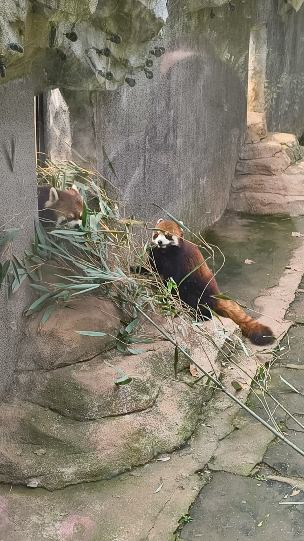 Scopriamo l'Asia con Alessia