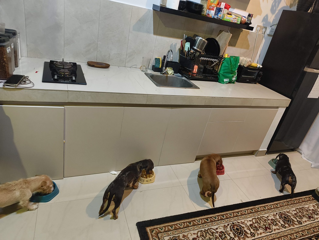 Scopriamo l'Asia con Alessia