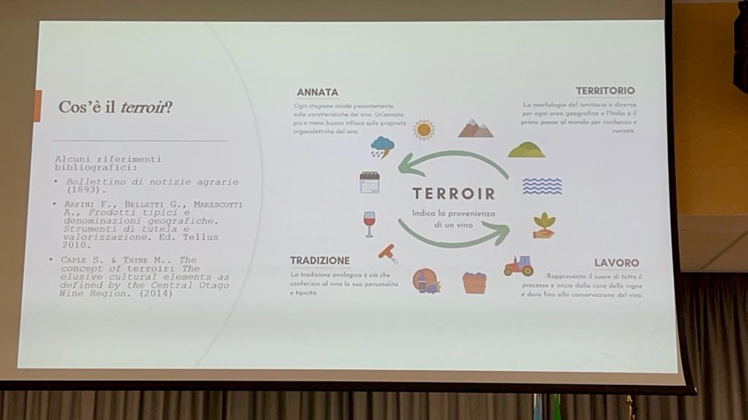 Cassino Thesis on Donna Vittori