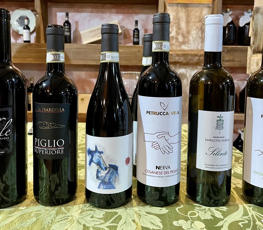 Lettera di Donna Vittori tra i Cesanesi 