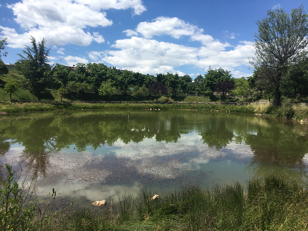 Torre Cajetani Laghetto di Cerano e teatro - Bettiol - 94