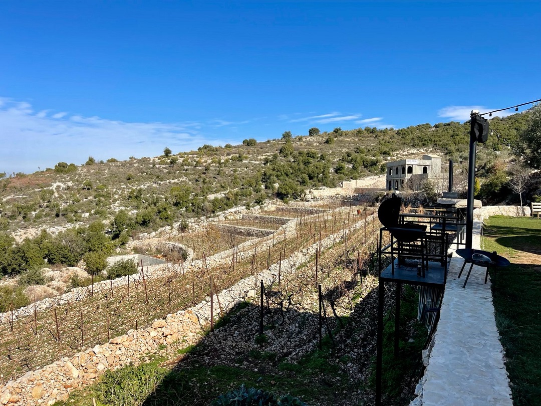 Sept Wine and Maria Vittori, two biodynamic wineries