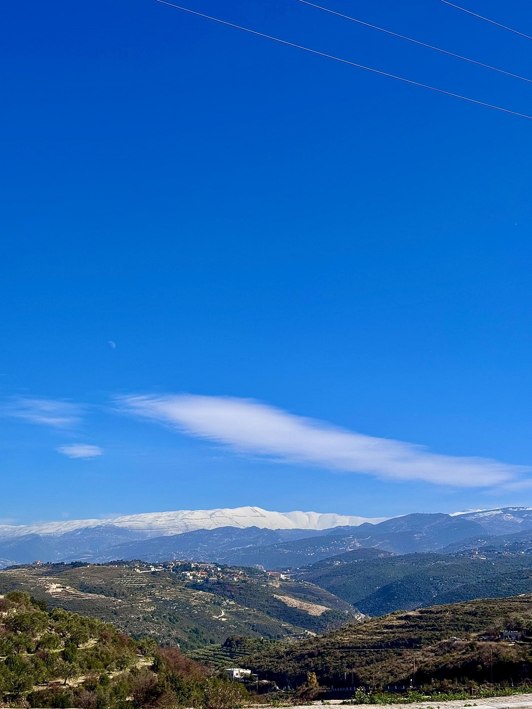 Sept Wine and Maria Vittori, two biodynamic wineries