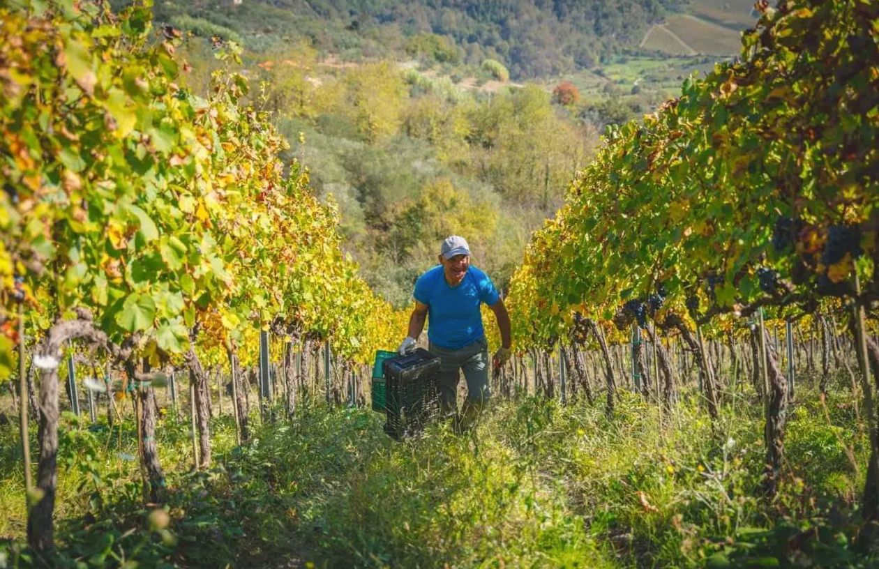 consegna dei diplomi ad Affile per il corso di avvicinamento al vino