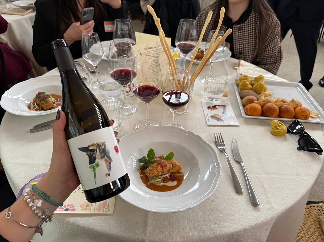 Insieme con Willy 2026