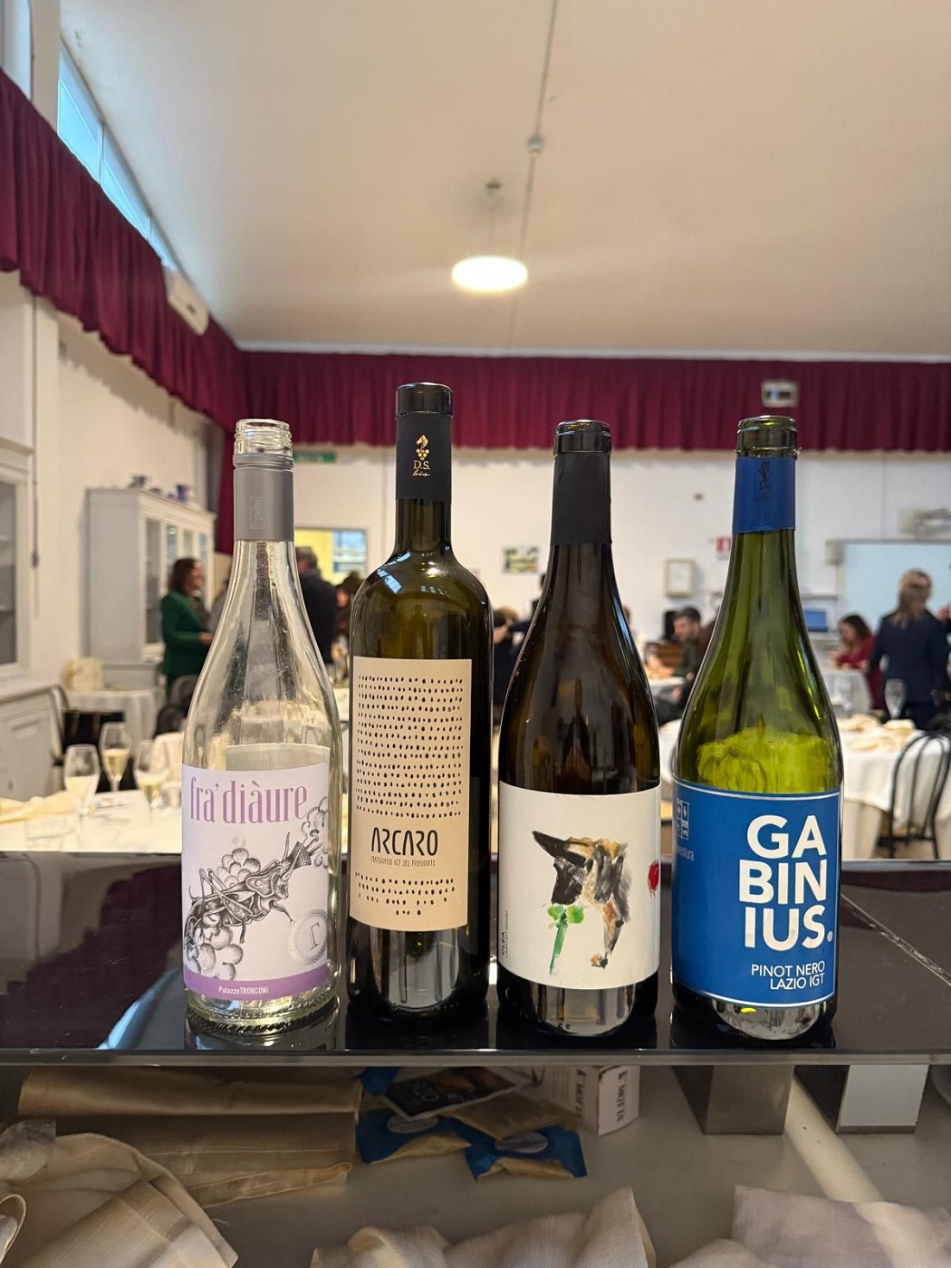 Insieme con Willy 2026