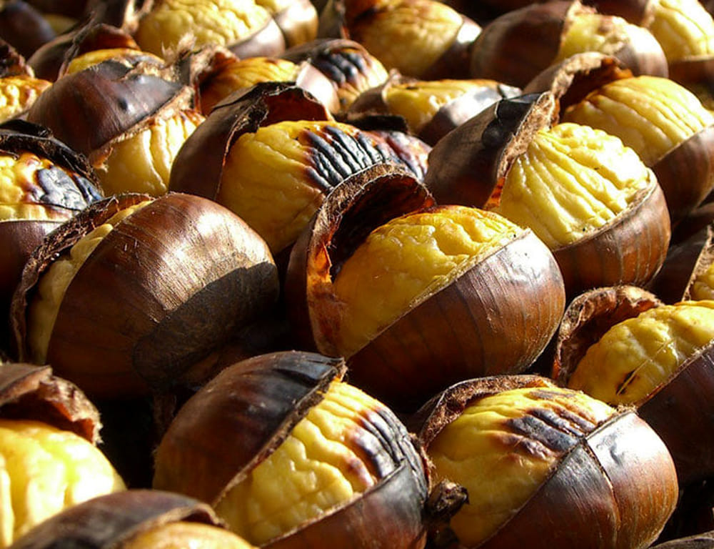 Chestnut