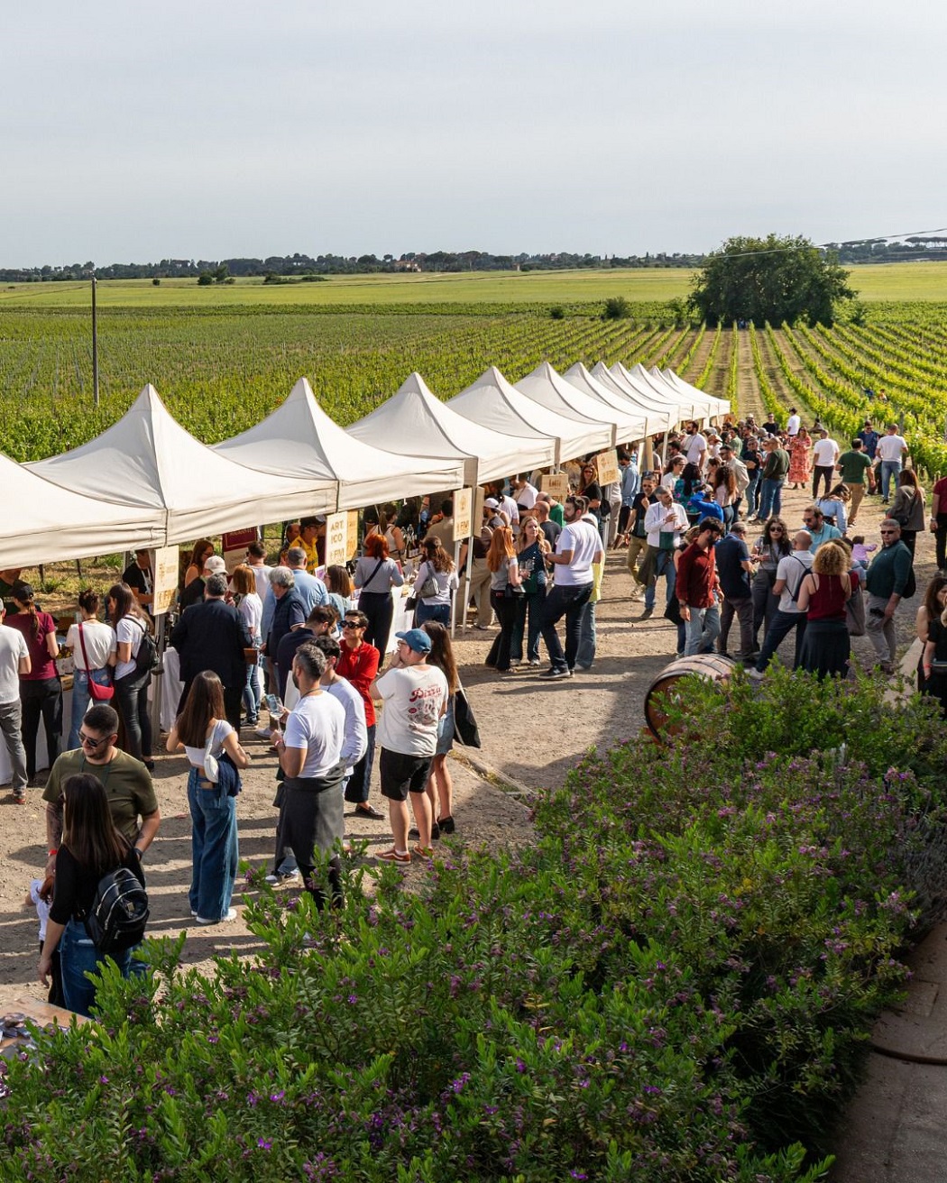 Sabato_del_vignaiolo_2026_04.jpg