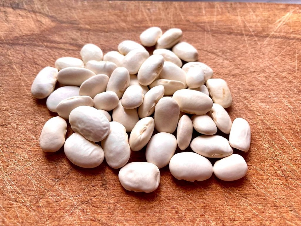 Ciavattone bean