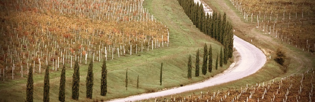 Nero Dello Scalambra, Cesanese di Affile DOC