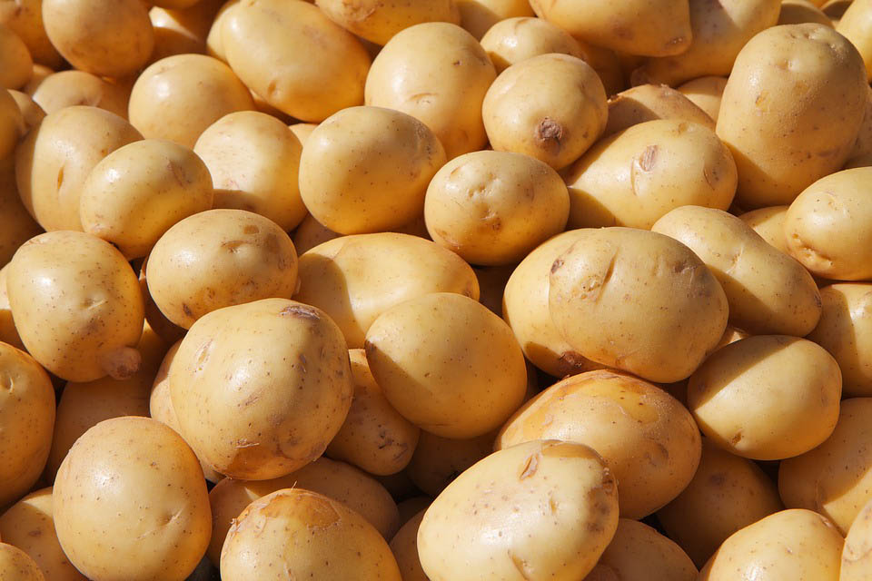 Acquapendente. Upper Viterbese Potato PGI