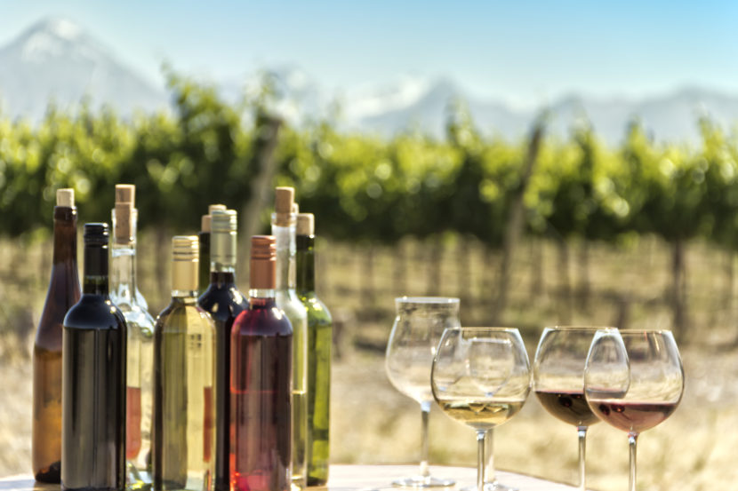 Bagnoregio. Colli Etruschi Viterbesi DOC wine