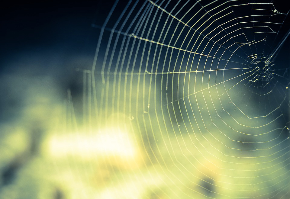 Dal distretto a nuove forme di network per piccole imprese