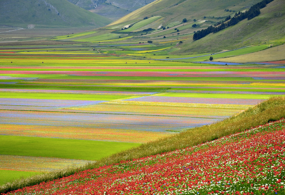 Nell’antro della Sibilla