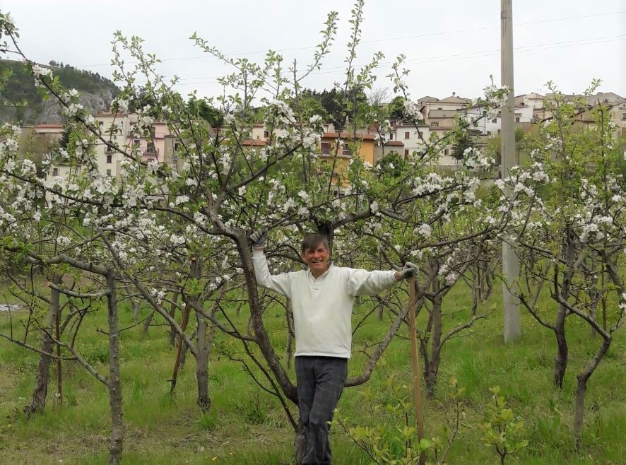 Come un drone sopra il melo più alto di Ortona dei Marsi, e poi il paradiso