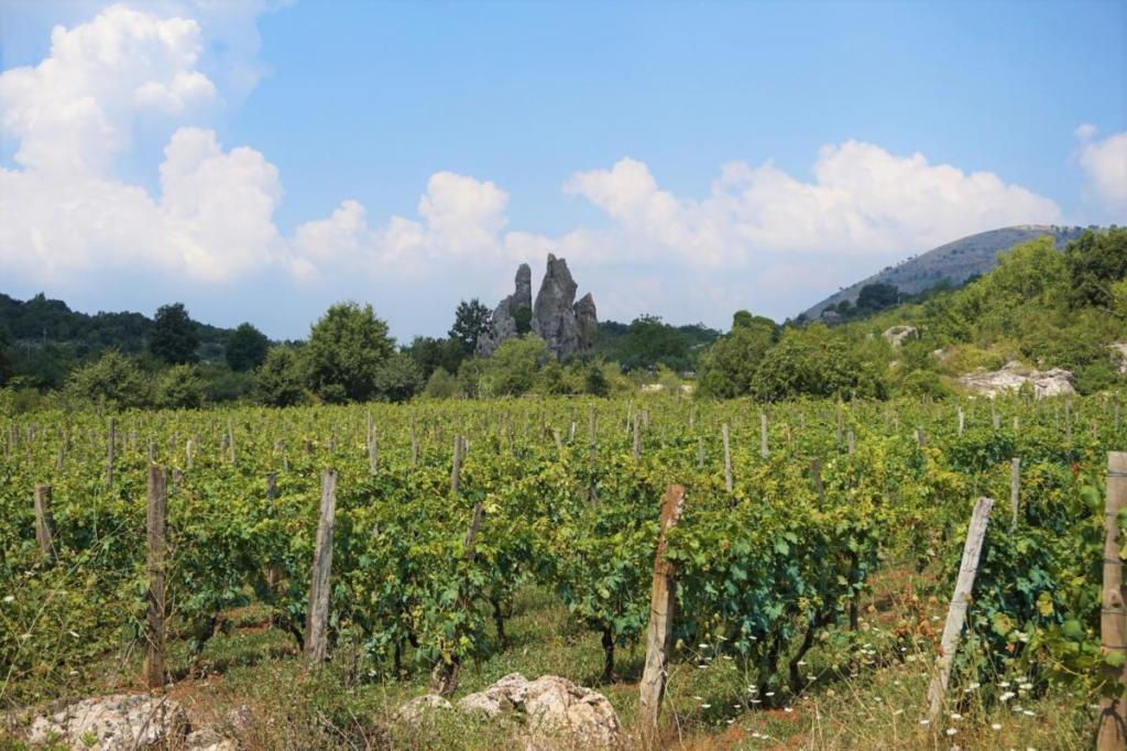 Storie di viaggi, storie di vino tra mare e montagna: il Moscato di Terracina