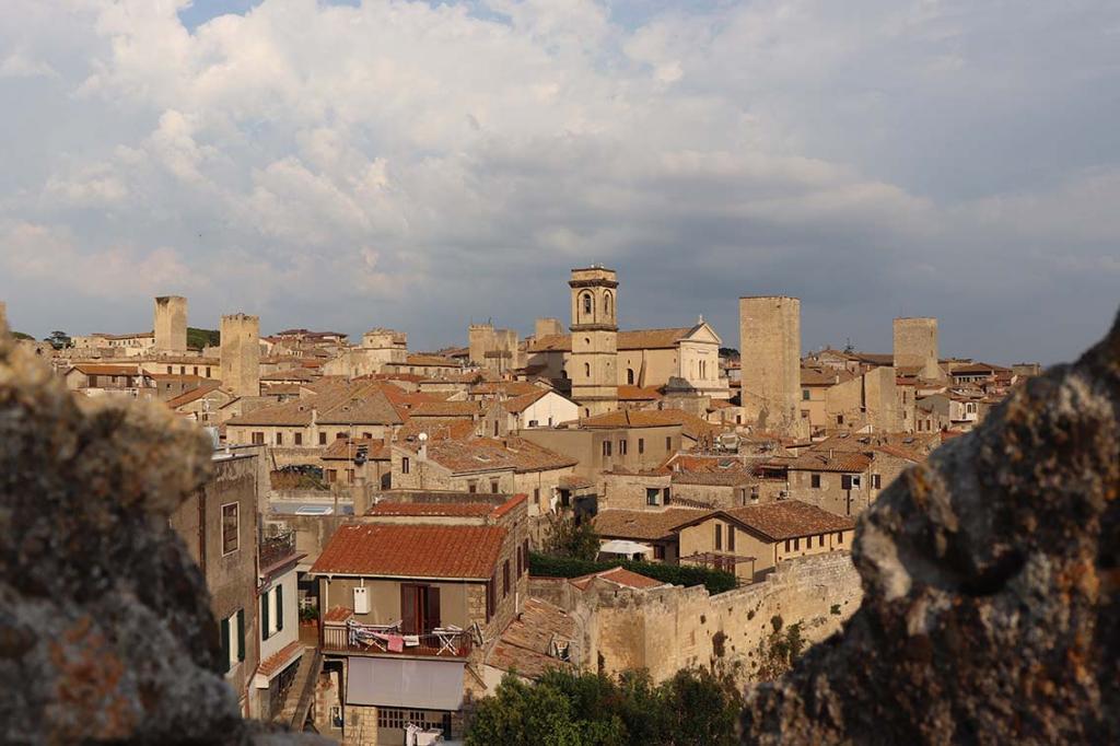 Divinamente Etrusco: Identità e territorio con il Vino Etrusco di Tarquinia