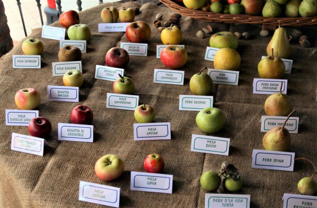 Una mela al giorno toglie il medico di torno