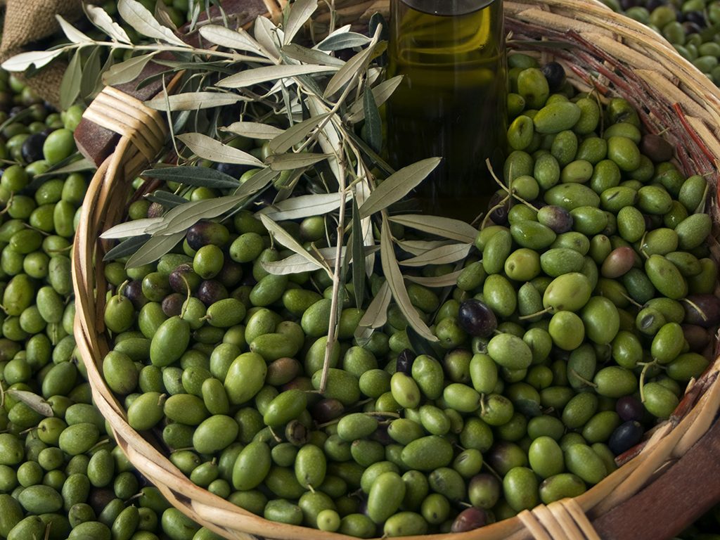 Olio-di-Oliva-Canino-DOP_iS_000007907462_Large-1024x768.jpg