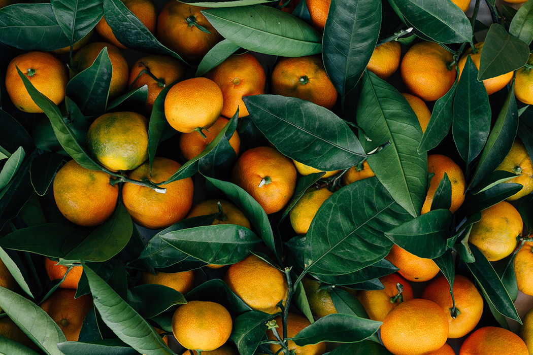 Fondi. Blond Orange