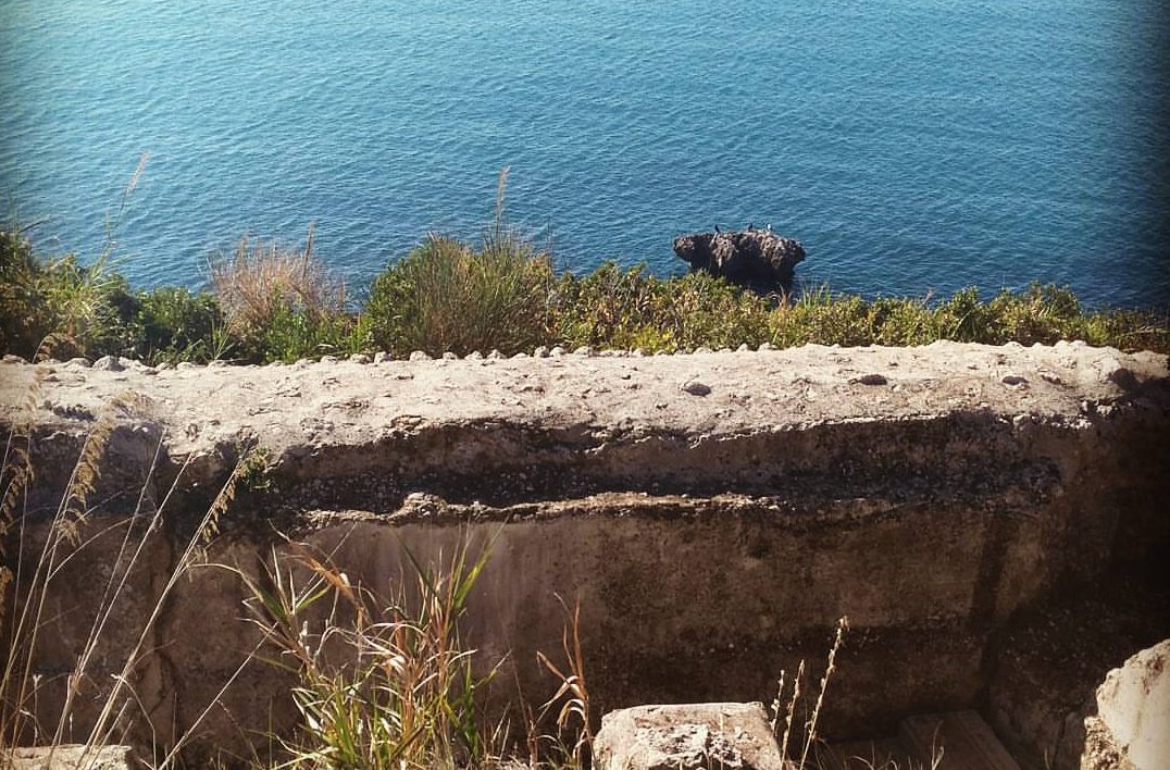 Formia. Villa di Mamurra