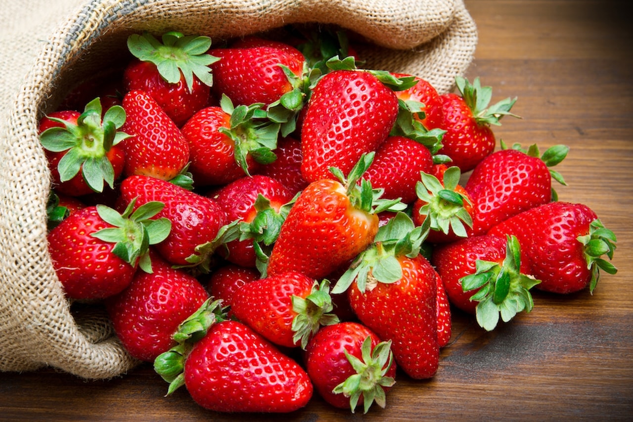 Terracina. Fragola Favette di Terracina