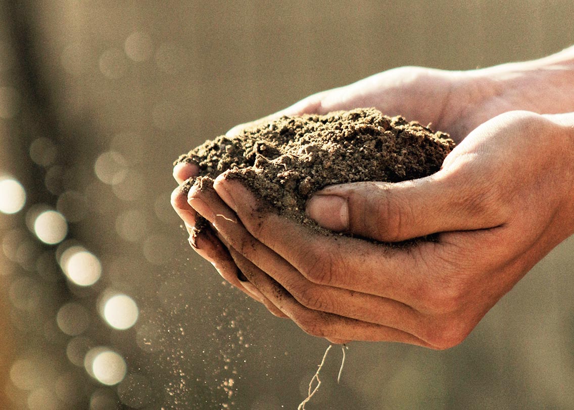 Festival Agricoltura Eroica a Castro dei Volsci per incontrare i piccoli produttori