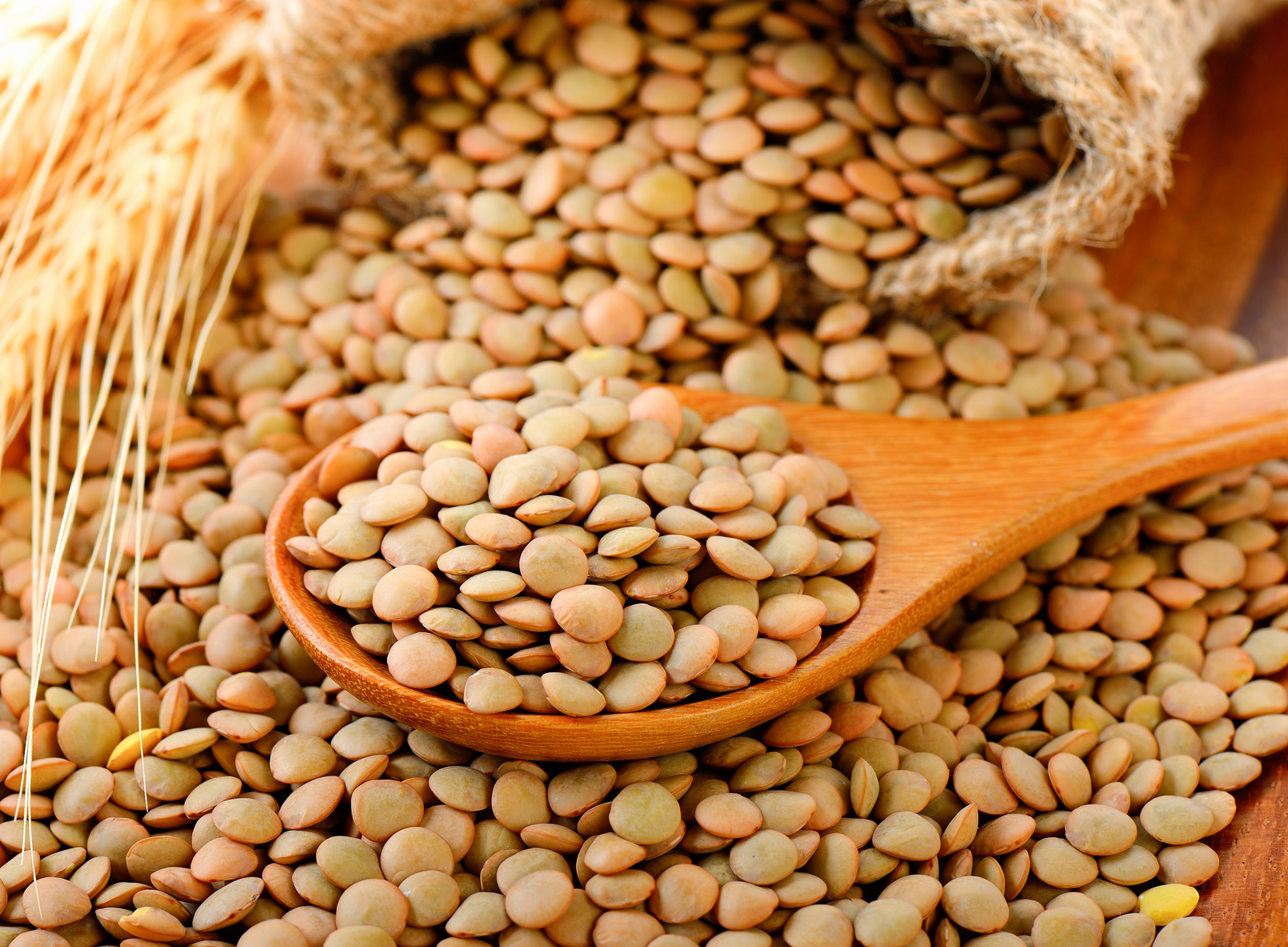 Fiamignano. Lenticchia di Rascino