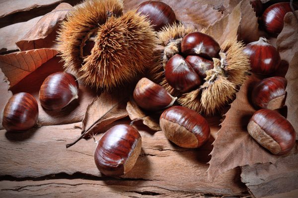 Antrodoco. Marrone Antrodocani Chestnuts