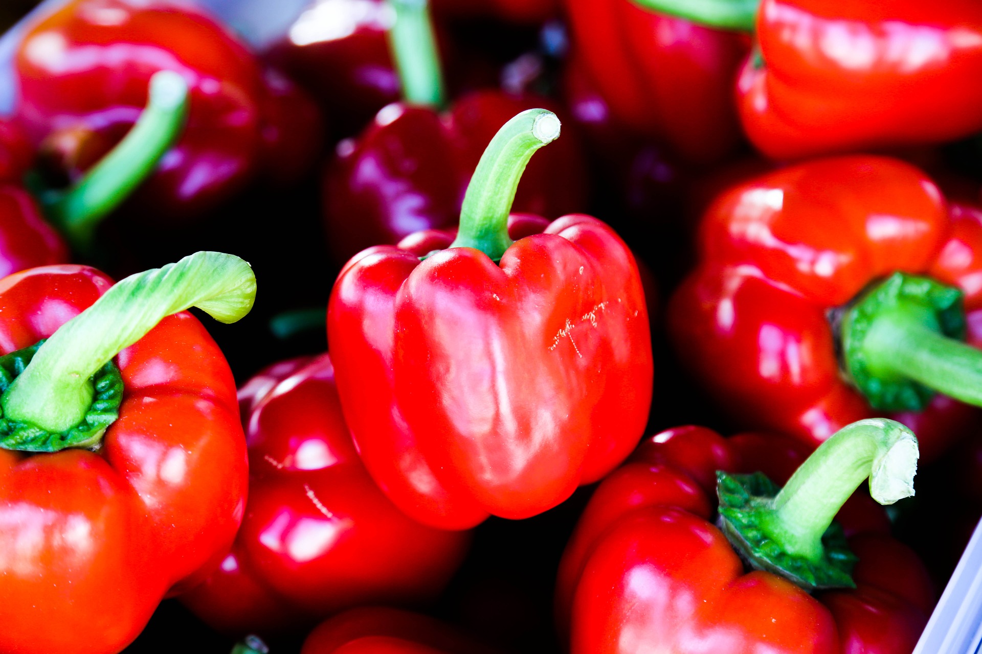 Monte San Biagio. Dried Peppers